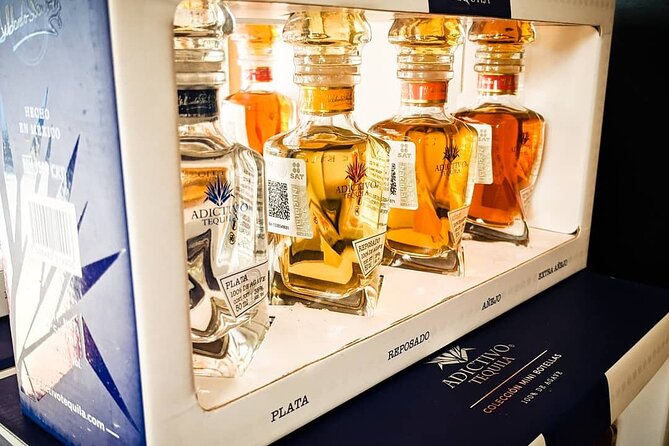 Tequila Tasting in Cabo San Lucas - Accessibility and Logistics