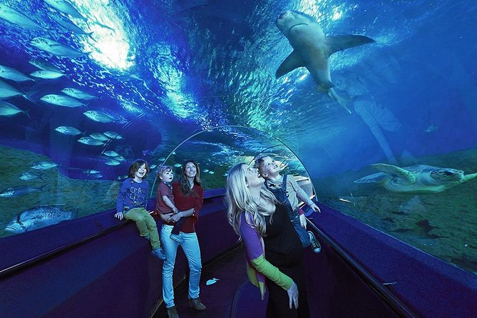 The Aquarium of Western Australia General Admission Ticket  - Perth - Guided Tours and Animal Feedings