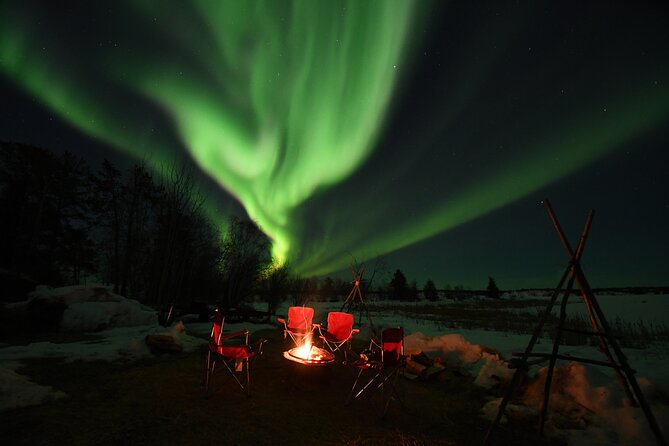 The Best Aurora Tour - Traveler Reviews and Ratings