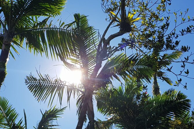 The Best of Puerto Rico in One Day - Private Tour - Traveler Photos