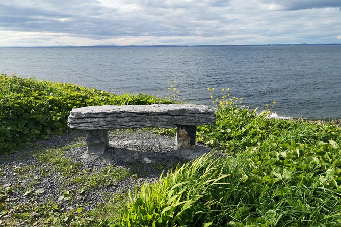 The Burren and Cliffs of Moher Full Day Private Tour From Galway - The Sum Up