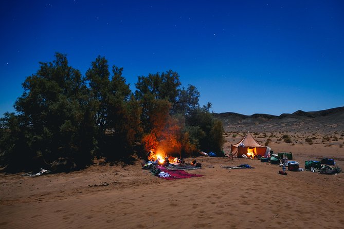 The Caravan of the Desert, 7 Days of Travel Including 6 Days on Foot - Day 4: The Challenging Hike Continues