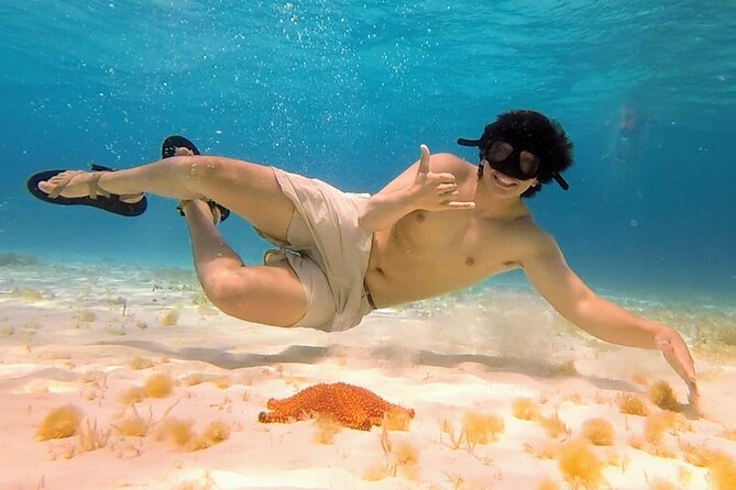 The Cozumel Sky Snorkeling by Private Boat - Cancellation Policy
