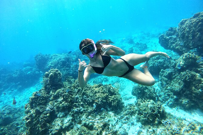 The Cozumel Turtle Sanctuary Snorkel Tour - Pickup Details for Specific Hotels