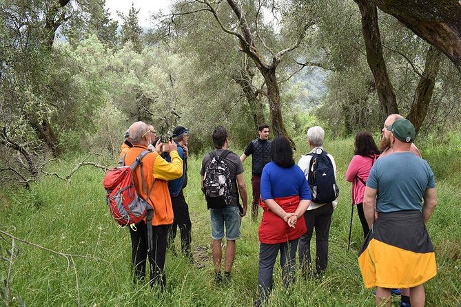 The Governor Olive Mill Tour With Olive Oil Tasting - Highly Recommended
