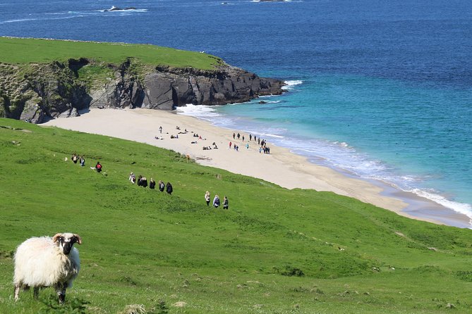 The Great Blasket Island Experience - Landing on Great Blasket Island