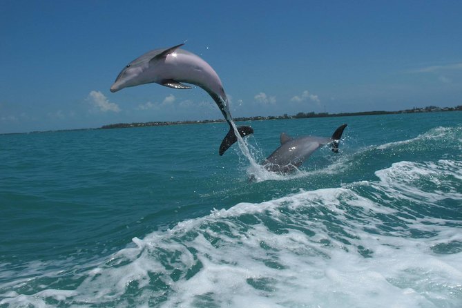 The Key West Dolphin & Snorkel Experience - Hosts Response to Negative Review