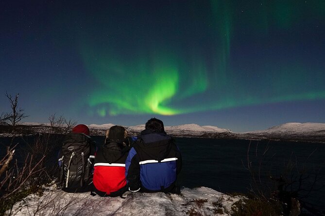 The Longest Northern Lights Tour in Abisko With Dinner - Traveler Photos and Reviews