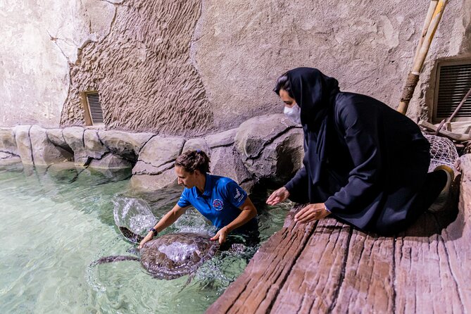 The National Aquarium Abu Dhabi Admission Tickets - Operating Hours, Cancellation Policy, Traveler Photos, Reviews, Questions, and Contact Information