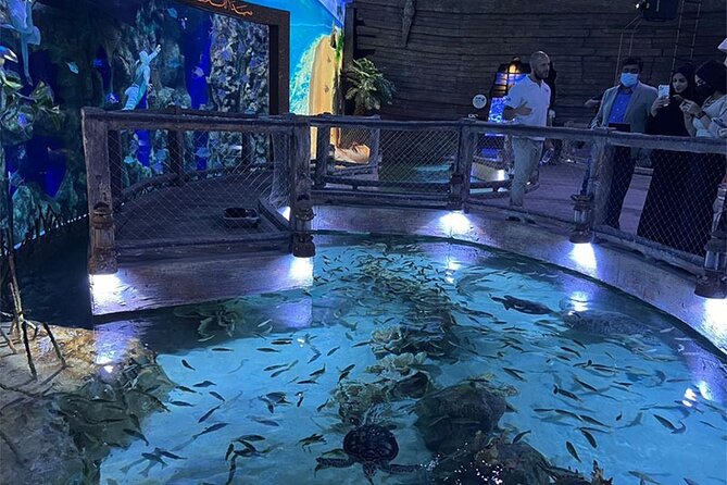 The National Aquarium Abu Dhabi - Copyright and Terms