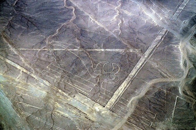 The Nazca Lines & Huacachina Oasis From Lima - Private - Traveler Experiences and Feedback