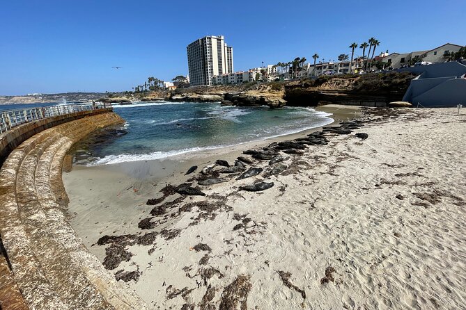 The Plunge E-Bike Tour in La Jolla - Price and Terms
