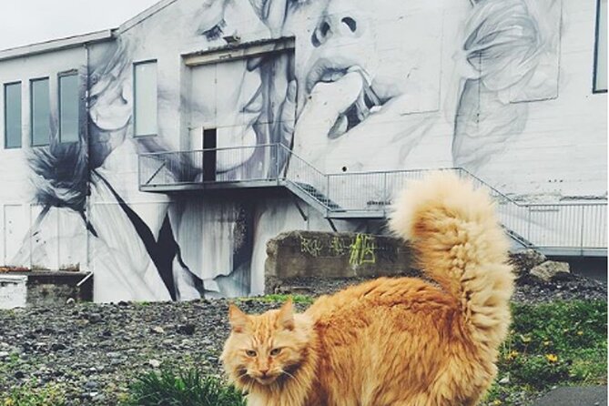 The Reykjavik Cat Walking Tour - Traveler Reviews
