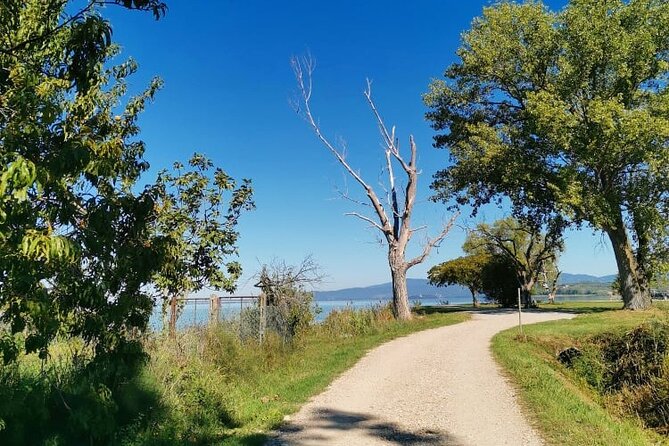 The Spell of Lake Trasimeno - Trekking Tour - What To Expect