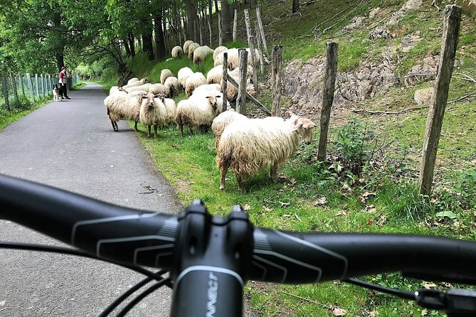 The Train Track Trail Mountain Bike Ride - Private Experience - Cancellation Policy