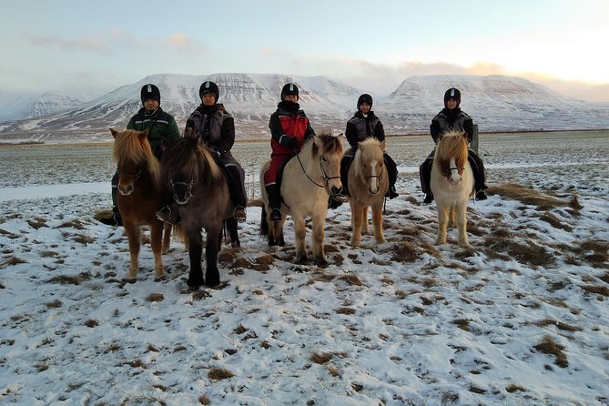 The Viking North Iceland Horse Riding in Winter Experience - End Point