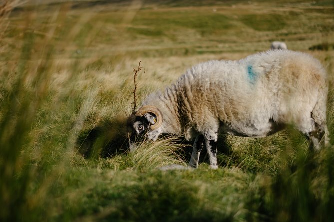 The Yorkshire Dales Tour From Windermere - Itinerary and Experiences