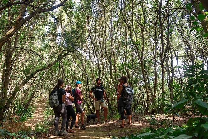 Thematic Hiking Route La Zarza in La Palma - Common Questions
