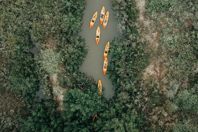 Thousand Islands Mangrove Tunnel Kayak Tour With Cocoa Kayaking! - Traveler Photos and Reviews