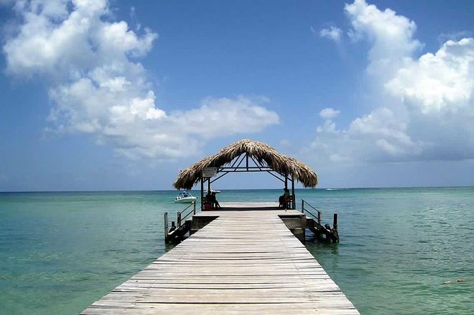 Tobago Buccoo Reef Glass Bottom Boat Tour - Negative Reviews