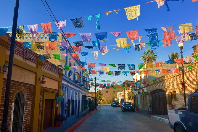 Todos Santos Day Trip From Cabo San Lucas - Negative Experience and Limited Time in Todos Santos