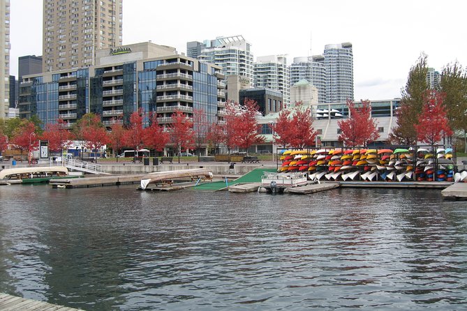Toronto Downtown Private Walking Tour - Reviews and Recommendations