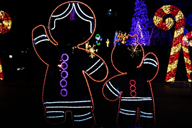 Toronto: Niagara Falls Festival of Lights All Inclusive Tour - Meeting and Pickup