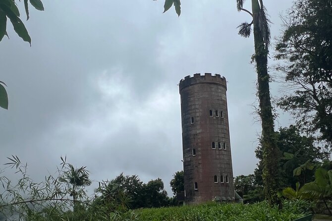 Tour El Yunque Rainforest - Rainforest Facts and History