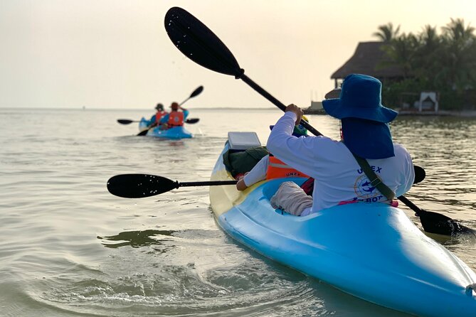 Tour the Mangroves in Kayak by Isla Holbox - Reviews and Ratings
