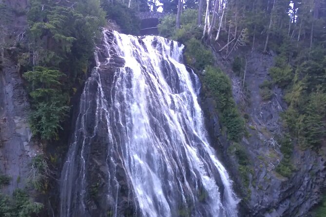 Touring and Hiking in Mt. Rainier National Park - Mount Rainier Perspectives