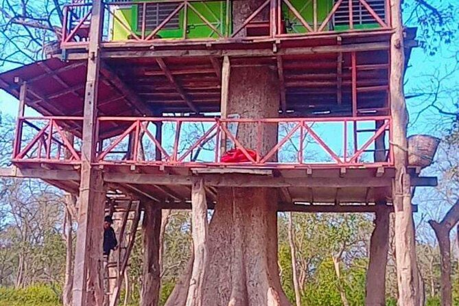 Tower Night Stay Bardia , Tree House Accommodation in Bardia - Start Time and End Point