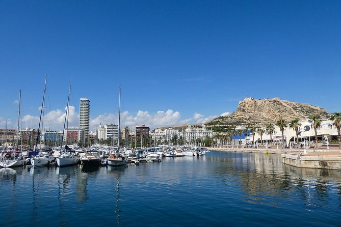 Transfer From Alicante City to Alicante Airport in Private Minivan Max. 6 Passengers - Professional and Reliable Service