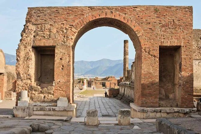 Transfers From Sorrento to Naples Plus 2 Hours Pompeii Excavations or Vice Versa - Questions and Terms