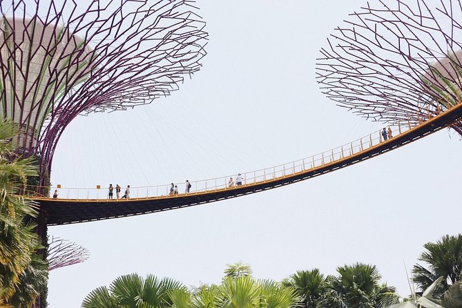 Treasures of Singapore: Gardens by the Bay Private Tour - Plan Your Visit and Pricing Details