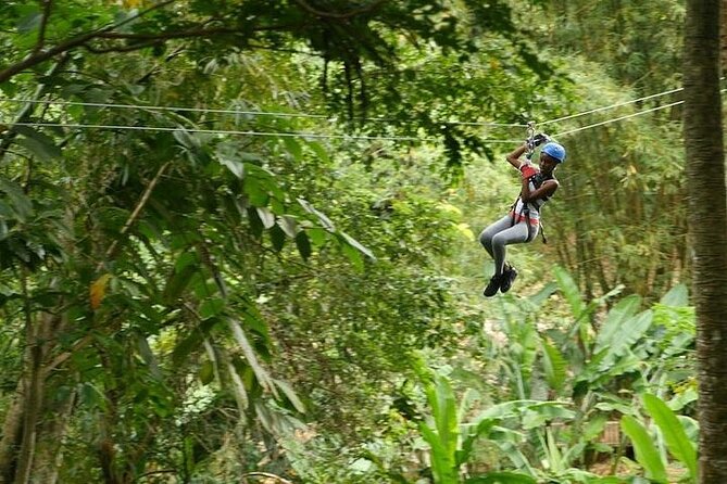 Treetop Adventure Park Canopy Tour - Customer Experiences