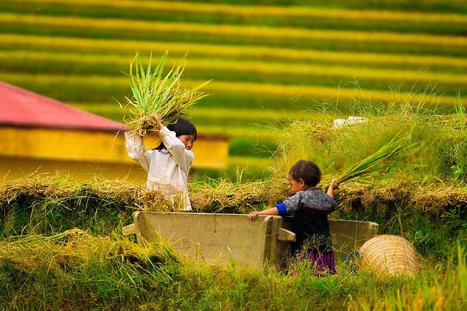 Trekking In Mu Cang Chai Tour 4 Days - The Sum Up