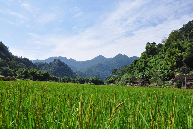 Trekking the Northern Trails of Vietnam 9 Days 8 Nights - Day 4: Village Homestay Experience