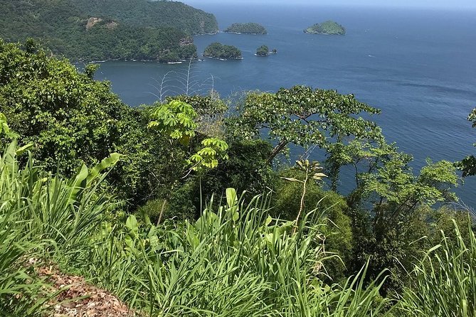 Trinidad Highlights and Scenic Drive Tour - Tour Highlights and Customer Satisfaction
