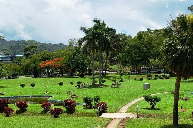 Trinidad Highlights Tour From Port of Spain - Reviews and Rating Breakdown