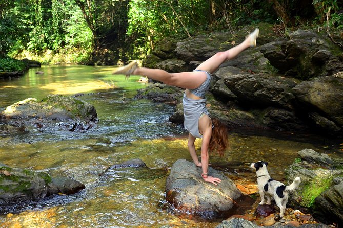 Trinidad Rainforest Hike to Waterfall - Common Questions