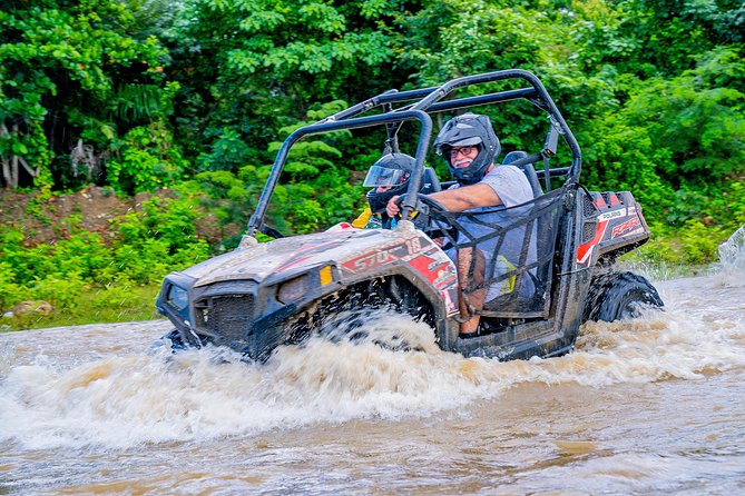 Triple Fun! Monkeyland Damajagua Waterfalls Buggies From Puerto Plata - Good To Know