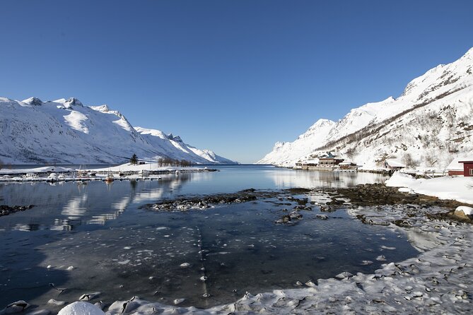Tromsø Fjords and Islands Road Trip With 8 Seats Minivan - Additional Information