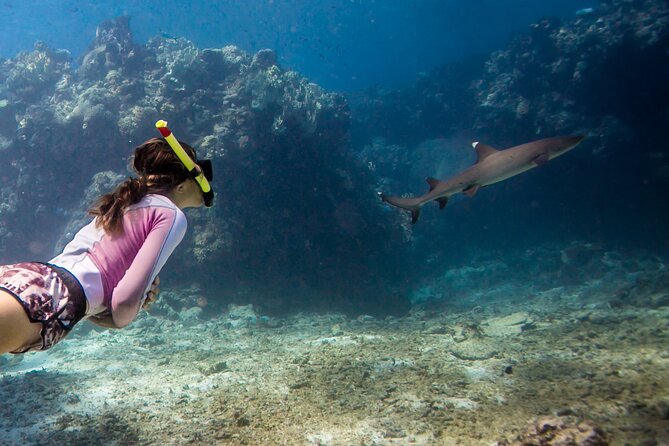 Tropical Tempter Package 4 Days 3 Nights All Activities Included - Additional Information