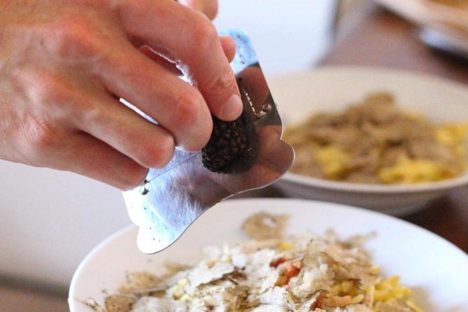 Truffle Hunting on Lake Bracciano With Lunch - Truffle Hunting Techniques