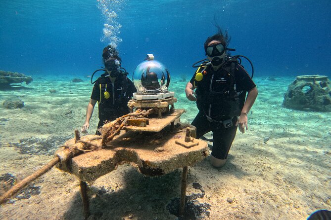 Try Diving Without Prior Experience - Choosing the Right Diving Instructor or Dive Shop