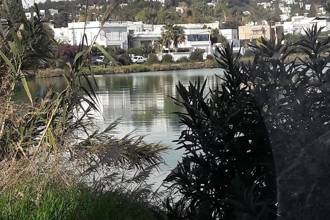 Tunis, Carthage and Sidi Bou Said Self-Guided Excursion From Hammamet - Additional Information