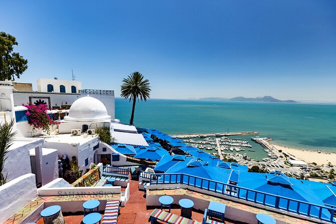 Tunis Full-Day Group Tour: Carthage, Sidi Bou Said and Medina - Common Questions