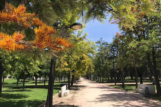 Turia Garden Private E-Scooter Tour. - Pricing and Additional Information