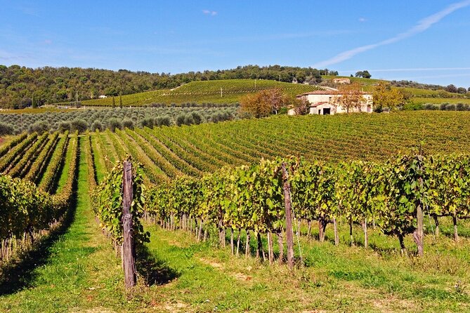 Tuscan Winery Tour and Wine Tasting  - Montecatini Terme - Reviews