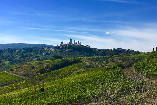 Tuscany and Wine Tasting Private Tour From Livorno - Flexible Refund Policy